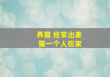 养猫 经常出差 猫一个人在家